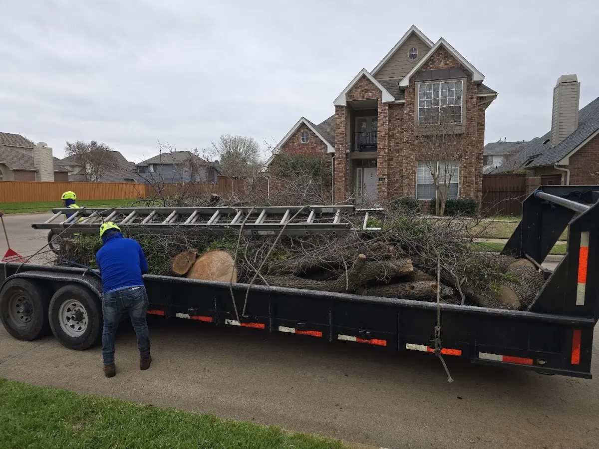 Expert Lot Clearing with proper safety equipment in Belmont